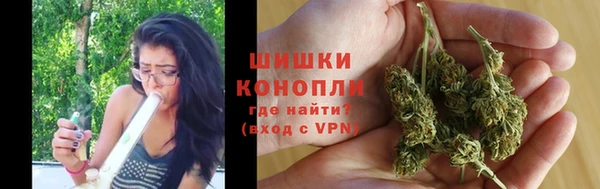 соль ск Бронницы