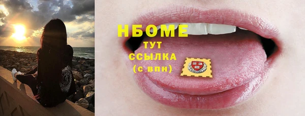 прущий лед Бородино