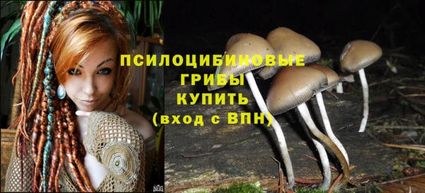 соль ск Бронницы