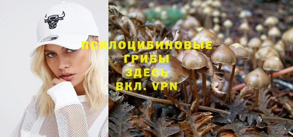 прущий лед Бородино