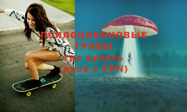 стаф Бугульма