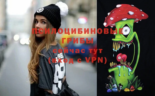 соль ск Бронницы