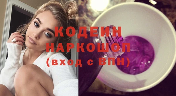 шишки Белокуриха