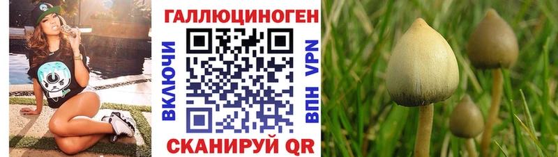 MEGA вход Фёдоровский Псилоцибиновые грибы прущие грибы