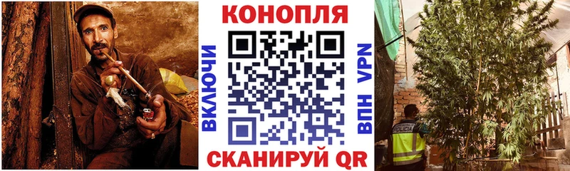 Бошки марихуана THC 21%  Фёдоровский 